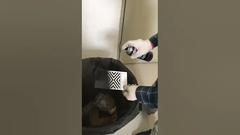 İç ve Dış Mekan Kullanımı İçin Akrilik Sprey Boya Uygulama Sıcaklığına Göre Değişir