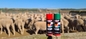 Pigment Hayvan İşaretleme Boyası Domuz Koyun Sığırları İçin 500ml Parlak Renkli İşaretleme